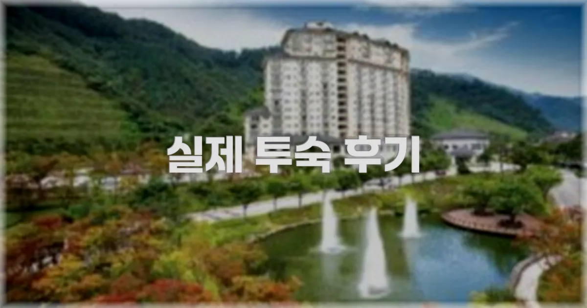 💬 실제 투숙 후기