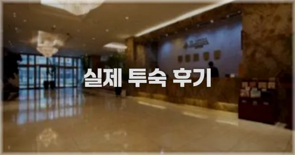 💬 실제 투숙 후기