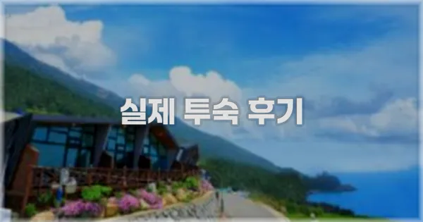 💬 실제 투숙 후기